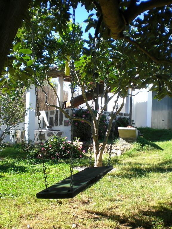 San Juan de la Rambla El Lagar De Piedraヴィラ 部屋 写真
